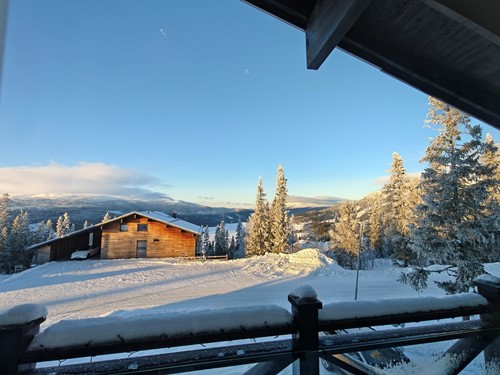 Björnen Falken 1A (G) Åre -Björnen