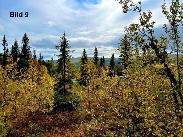 Edsåsdalen Vajavägen 18