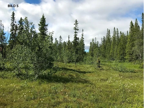 Edsåsdalen Vajavägen 18