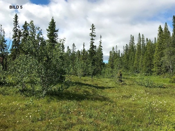 Edsåsdalen Vajavägen 18