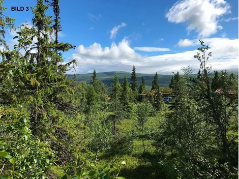Edsåsdalen Vajavägen 18