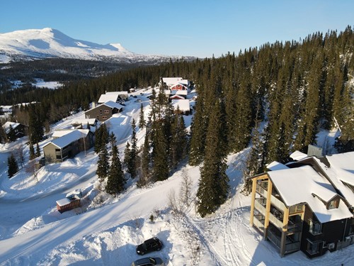 Björnen Örnen 17 Åre - Björnen