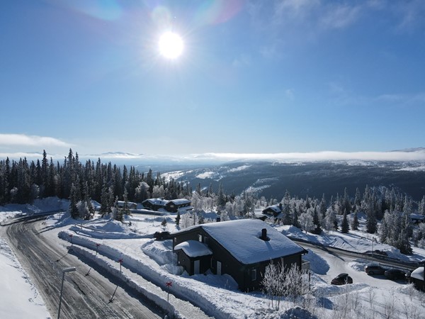 Copperhill 19