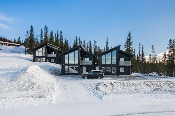 Copperhill 20