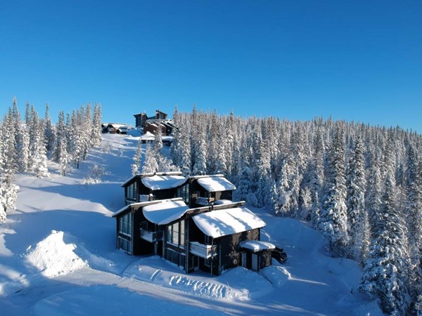Copperhill 20