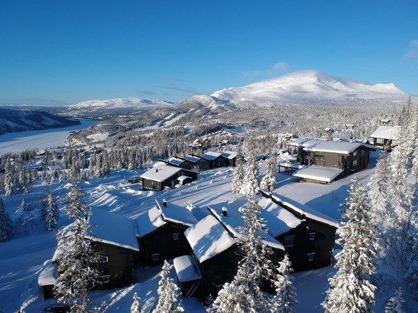 Copperhill 20(4)