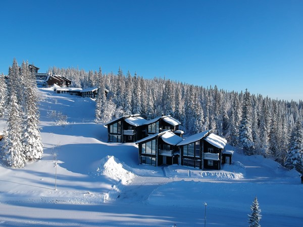Copperhill 20