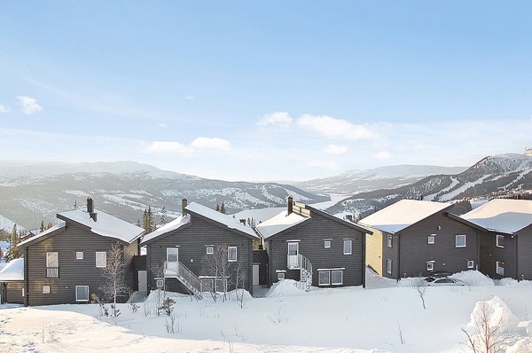 Copperhill 17