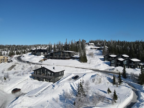 Copperhill 19