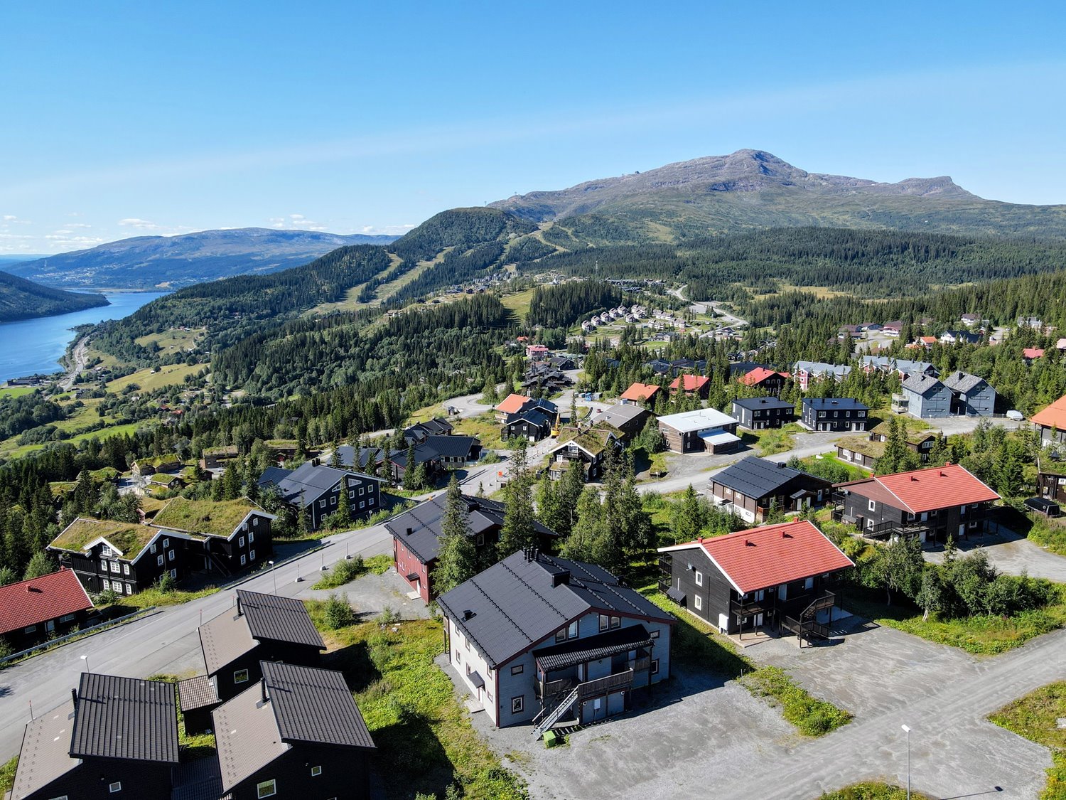 Björnen Ugglan 3D (A)