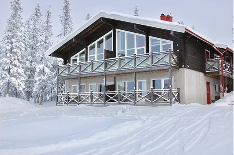Björnen Falken 1B (F)