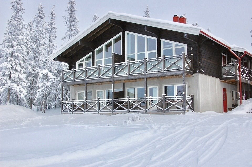 Björnen Falken 1B (F)