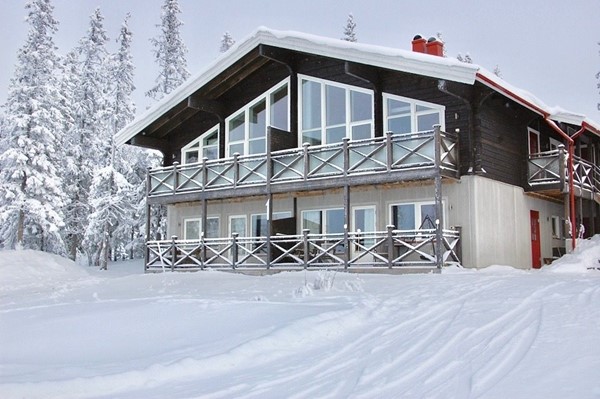 Björnen Falken 1B