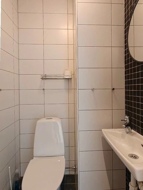 Björnen Falken 1B (F)