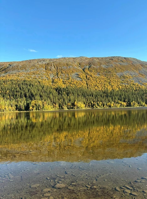 Bydalens Fjällby  8 andelsveckor