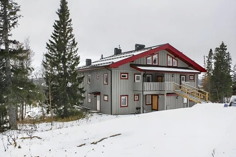 Björnen Höken 12C (G)