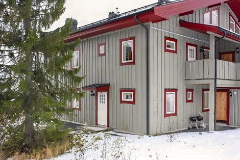 Björnen Höken 12C (G)