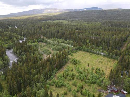Ljungdalen