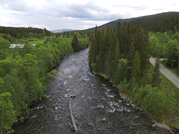 Ljungan ca 100 meter ifrån tomtgräns