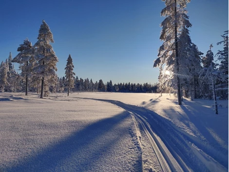 Bratteggen Kvistvägen 3