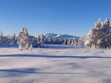 Bratteggen Kvistvägen 3
