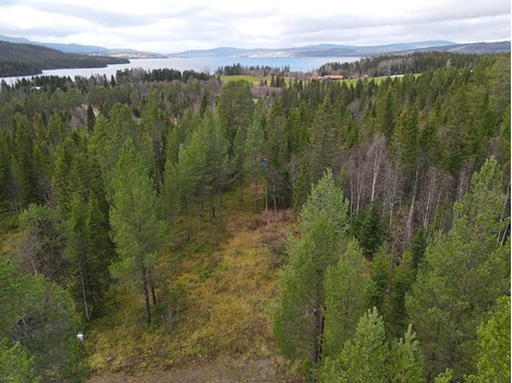 Bratteggen Kvistvägen 3
