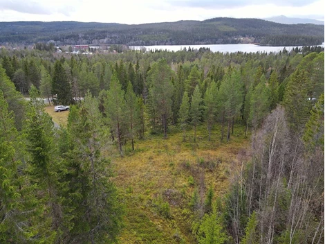 Bratteggen Kvistvägen 3